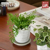 【ポイントUP】【公式】アジアンタム ハピプランター 観葉植物 フェイクグリーン | GREENPARK 人工観葉植…