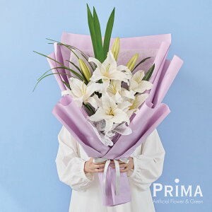 yz  JTuJ S ԑ  t[AWg | PRIMA dp d @      ފ t[AWg t[ ͂Ȃ 
