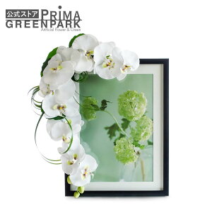 yzep Ӓ ԏ  t[AWg | PRIMA  ފ ފ AW t[AWg AWg  3 49  d AWgt[ 