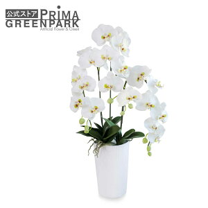 yz  Ӓ 3{ v[W  t[AWg | PRIMA dp d @       ފ ފ AW ̉