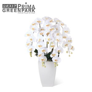 yz  Ӓ 5{   t[AWg | PRIMA dp d @       ފ ފ AW AWg