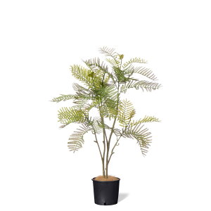 y|CgUPzyzGo[tbV Ci[|bgH100cm ϗtA tFCNO[ | GREENPARK lHϗtA   A C~e[V CeAO[ A[gO[