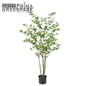 yzhE_ccW Ci[|bgH155cm ϗtA tFCNO[ yʑqɒiz | GREENPARK lHϗtA   A C~e[V CeAO[ A[gO[