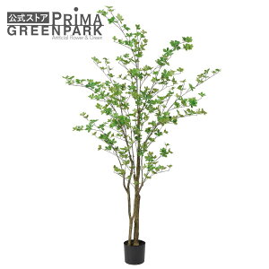 yzhE_ccW Ci[|bgH185cm ϗtA tFCNO[ yʑqɒiz | GREENPARK lHϗtA   A C~e[V CeAO[ A[gO[