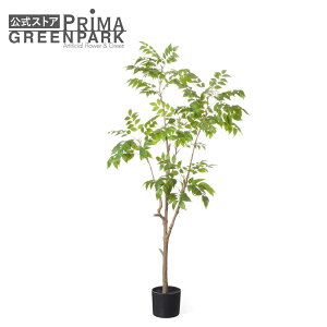 yzn[̖ Ci[|bg H150cm ϗtA tFCNO[ yʑqɒiz | GREENPARK lHϗtA   A C~e[V CeAO[ A[gO[