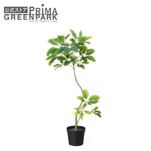 yzVFt Ci[|bg H90cm ϗtA tFCNO[ eco | GREENPARK lHϗtA   A C~e[V CeAO[ A[gO[