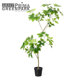 yzVFt Ci[|bg H120cm ϗtA tFCNO[ eco yʑqɒiz | GREENPARK lHϗtA   A C~e[V CeAO[ A[gO[