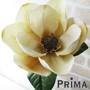 yz}OmA ؘ@ Piԍ  A[eBtBVt[ | PRIMA 1{ t[AWg AWg CeA  Xe ԃ[t  Pi