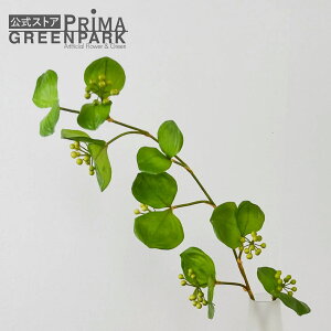 yzTLC Piԍ  A[eBtBVt[ | PRIMA 1{  t } t[AWg AWg CeA  Xe ԃ[t  Pi