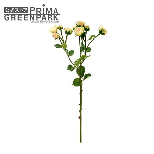 �y�����z���[�Y �K�N �V�F���s���N �P�i�ԍ� ���� �A�[�e�B�t�B�V�����t�����[ | PRIMA 1�{���� �t�����[�A�����W�����g �A�����W�����g �C���e���A ���� �X�e�� ���ԃ��[�t �������� �P�i