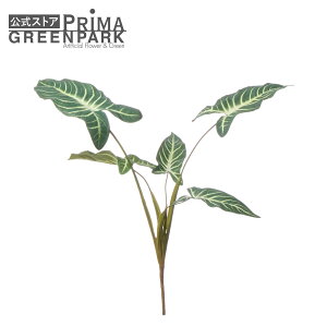 yzLTg\[}M Piԍ  A[eBtBVt[ | PRIMA 1{ t[AWg AWg CeA  Xe ԃ[t  Pi