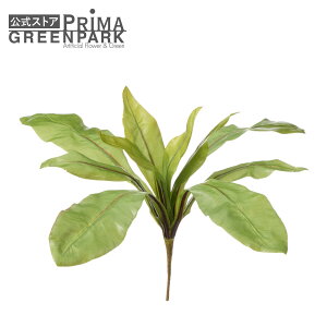 yzII^j^S Piԍ  A[eBtBVt[ | PRIMA 1{ t[AWg AWg CeA  Xe ԃ[t  Pi