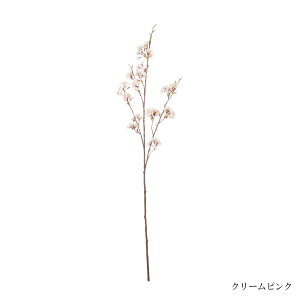 yzg N[sN sN Piԍ  A[eBtBVt[ | PRIMA 1{ t[AWg AWg CeA  Xe ԃ[t  P