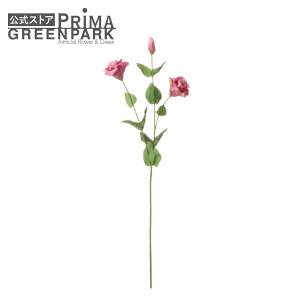 yzVATX _[NsN Piԍ  A[eBtBVt[ | PRIMA 1{ t[AWg AWg CeA  Xe ԃ[t  Pi