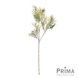 yz~U u` Piԍ  A[eBtBVt[ | PRIMA 1{ t[AWg AWg CeA  Xe ԃ[t  Pi