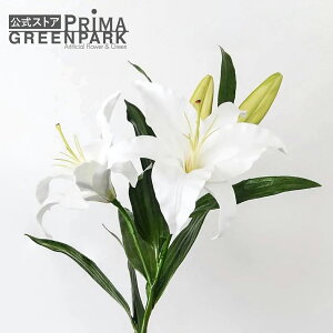 yzJTuJ Piԍ  A[eBtBVt[ | PRIMA 1{ t[AWg AWg CeA  Xe ԃ[t  Pi