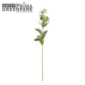 yzncL\E Piԍ  A[eBtBVt[ | PRIMA 1{ t[AWg AWg CeA  Xe ԃ[t  Pi