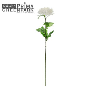 yz} e M zCg Piԍ A[eBtBVt[ A[gt[ | PRIMA 1{ t[AWg AWg CeA  Xe ԃ[t  Pi