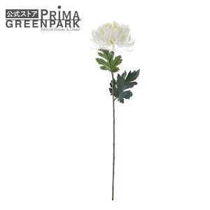 yz} e L zCg Piԍ A[eBtBVt[ A[gt[ | PRIMA 1{ t[AWg AWg CeA  Xe ԃ[t  Pi