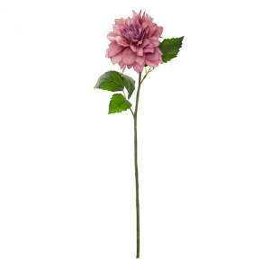 yz_A sN Piԍ  A[eBtBVt[ | PRIMA 1{ t[AWg AWg CeA  Xe ԃ[t  Pi