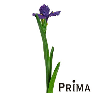 【ポイントUP】【公式】菖蒲 ショウブ 単品花材 造花 アーティフィシャルフラワー | PRIMA 1本売り 実 葉 枝 フラワーアレンジメント アレンジメント インテリア 装飾 ステム 造花リーフ 高級
