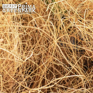 yzRRt@Co[ 50g  ϗtA  t[AWg | GREENPARK lHϗtA   A C~e[V CeAO[ A[gO[ Mtg v[