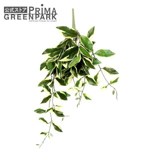 yzTN Piԍ  A[eBtBVt[ | PRIMA 1{ t[AWg AWg CeA  Xe ԃ[t  Pi