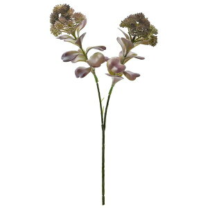 yzZ_Xv[ p[v Piԍ A[eBtBVt[ A[gt[ | PRIMA 1{  t } t[AWg AWg CeA  Xe ԃ[