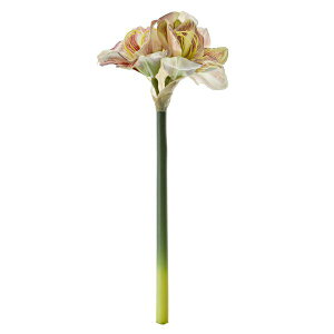 【ポイントUP】【公式】【50%OFF】アマリリス ブラウン×グリーン 単品花材 アーティフィシャルフラワー アートフラワー | PRIMA 1本売り 実 葉 枝 フラワーアレンジメント アレンジメント イ