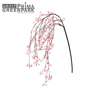 yz sN Piԍ  A[eBtBVt[ | PRIMA 1{ t[AWg AWg CeA  Xe ԃ[t  Pi