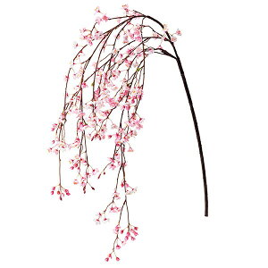 yz sN Piԍ  A[eBtBVt[ | PRIMA 1{ t[AWg AWg CeA  Xe ԃ[t  Pi