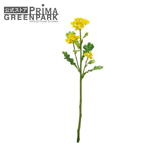 yz؂̉ CG[ Piԍ  A[eBtBVt[ | PRIMA 1{ t[AWg AWg CeA  Xe ԃ[t  Pi