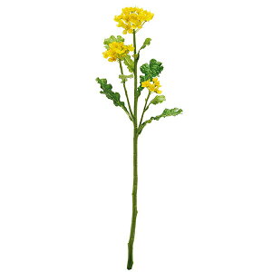 yz؂̉ CG[ Piԍ  A[eBtBVt[ | PRIMA 1{ t[AWg AWg CeA  Xe ԃ[t  Pi