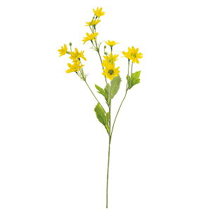 yzf[W[ e CG[ Piԍ  A[eBtBVt[ | PRIMA 1{ t[AWg AWg CeA  Xe ԃ[t  Pi