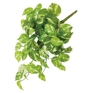 【ポイントUP】【公式】ポトス 白紋入り ライトグリーン 単品花材 造花 アーティフィシャルフラワー | PRIMA 1本売り フラワーアレンジメント アレンジメント インテリア 装飾 ステム 造花リ