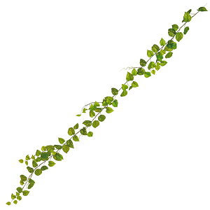 yztBK[h qJY Piԍ  A[eBtBVt[ | PRIMA 1{ t[AWg AWg CeA  Xe ԃ[t  Pi