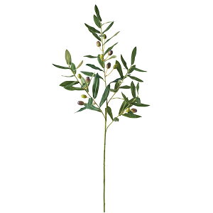 yztI[u Piԍ  A[eBtBVt[ | PRIMA 1{ t[AWg AWg CeA  Xe ԃ[t  Pi