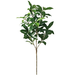 yzVLr VL~ O L Piԍ  A[eBtBVt[ | PRIMA 1{ t[AWg AWg CeA  Xe ԃ[t  Pi