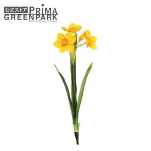 yz{ CG[ Piԍ  A[eBtBVt[ | PRIMA 1{ t[AWg AWg CeA  Xe ԃ[t  Pi