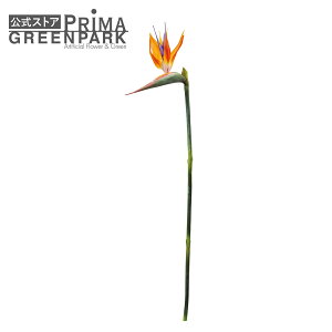 yzXg`A SNN`EJ L Piԍ  A[eBtBVt[ | PRIMA 1{ t[AWg AWg CeA  Xe ԃ[t  