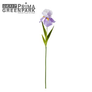 yzACX Ҋ Cgp[v Piԍ  A[eBtBVt[ | PRIMA 1{ t[AWg AWg CeA  Xe ԃ[t  P