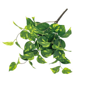 yz|gXoC O[×CG[ Piԍ  A[eBtBVt[ eco | PRIMA 1{ t[AWg AWg CeA  Xe ԃ[t 