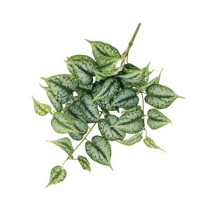 【公式】スキンダプサスバイン 単品花材 造花 アーティフィシャルフラワー eco | PRIMA 1本売り フラワーアレンジメント アレンジメント インテリア 装飾 ステム 造花リーフ 高級造花 単品