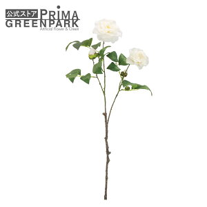 yzcoL  zCg Piԍ  A[eBtBVt[ | PRIMA 1{ t[AWg AWg CeA  Xe ԃ[t  Pi