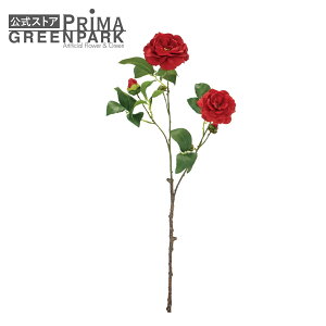 yzcoL  bh Piԍ  A[eBtBVt[ | PRIMA 1{ t[AWg AWg CeA  Xe ԃ[t  Pi