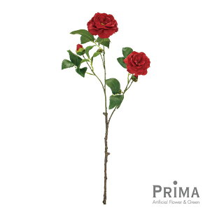 yzcoL  bh Piԍ  A[eBtBVt[ | PRIMA 1{ t[AWg AWg CeA  Xe ԃ[t  Pi