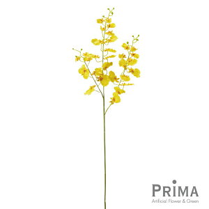 yzIVW[ CG[ Piԍ  A[eBtBVt[ | PRIMA 1{ t[AWg AWg CeA  Xe ԃ[t  Pi