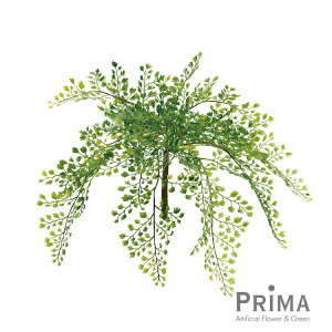 yzAWA^ubV O Piԍ  A[eBtBVt[ | PRIMA 1{ t[AWg AWg CeA  Xe ԃ[t  Pi