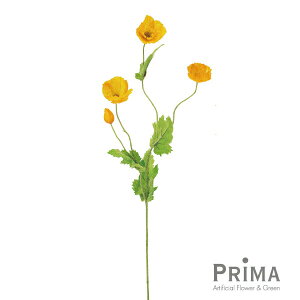 yz|s[ CG[ Piԍ  A[eBtBVt[ | PRIMA 1{  t } t[AWg AWg CeA  Xe ԃ[t  Pi