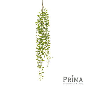 yzfBXLfBA O[ Piԍ  A[eBtBVt[ eco | PRIMA 1{ t[AWg AWg CeA  Xe ԃ[t  Pi